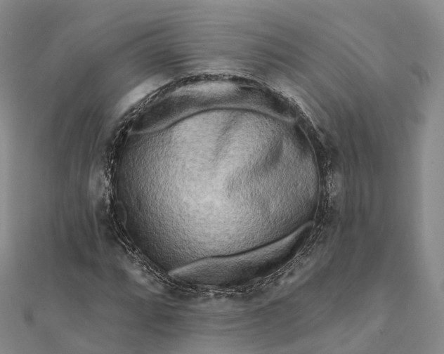 X0000112101064200908251145