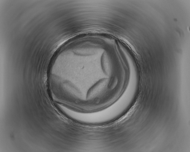 X0000112101065200908251145