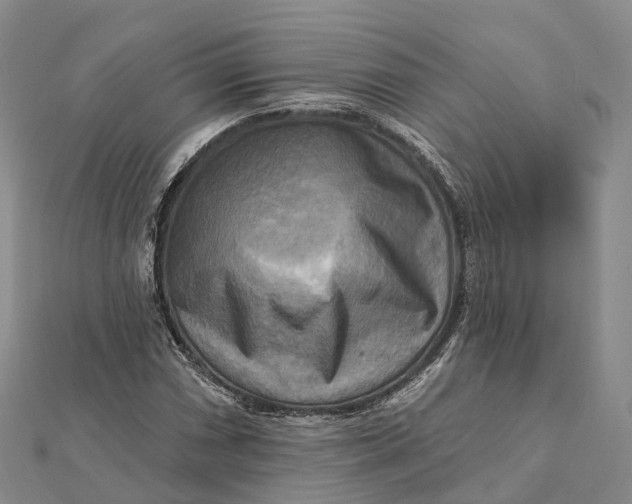 X0000112101066200908251145