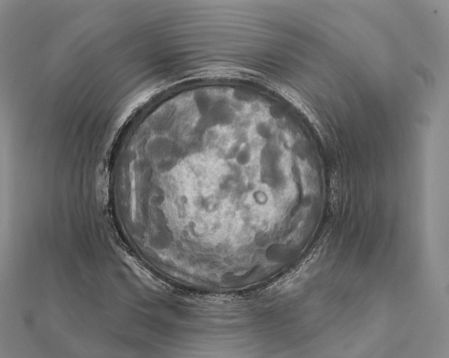 X0000112101067200908251145