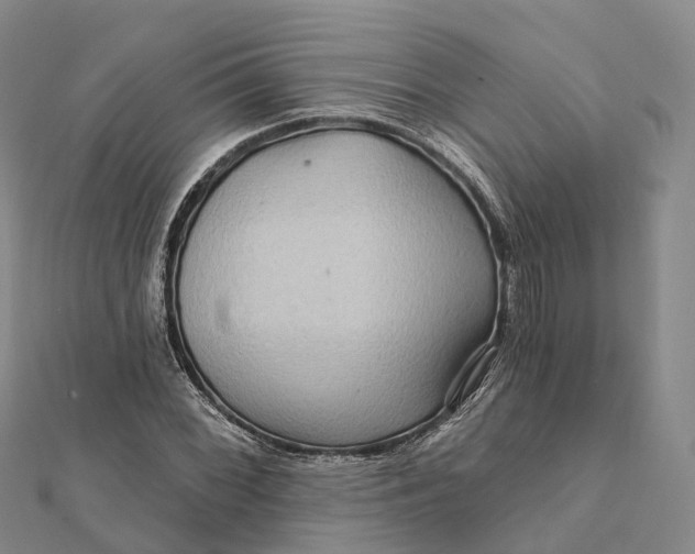 X0000112101068200908251144