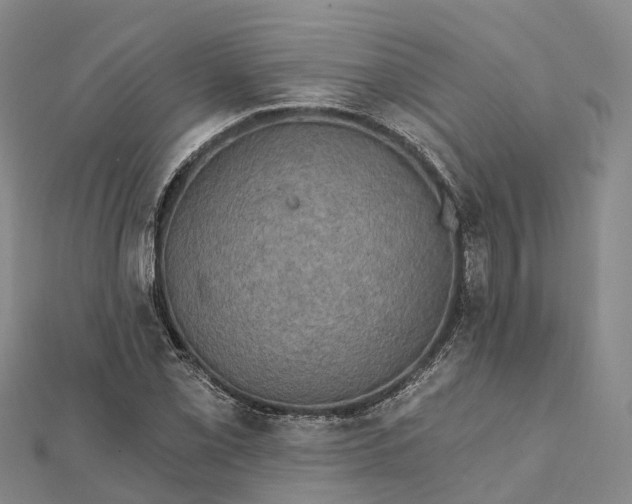 X0000112101069200908251144