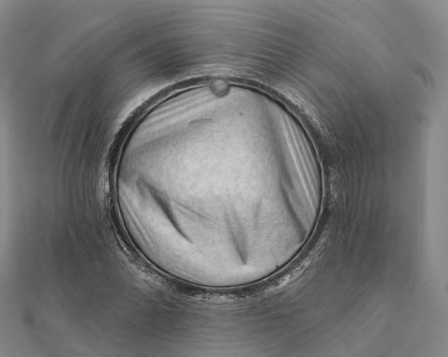 X0000112101070200908251144