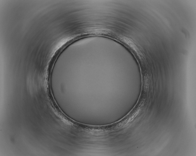 X0000112101071200908251144