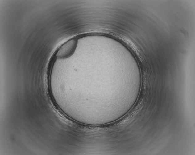 X0000112101072200908251144