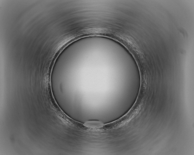 X0000112101073200908251144