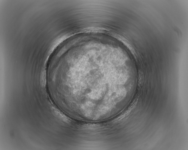 X0000112101075200908251144