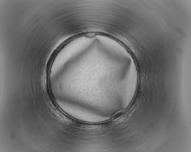 X0000112101076200908251144