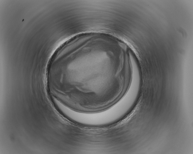 X0000112101077200908251144