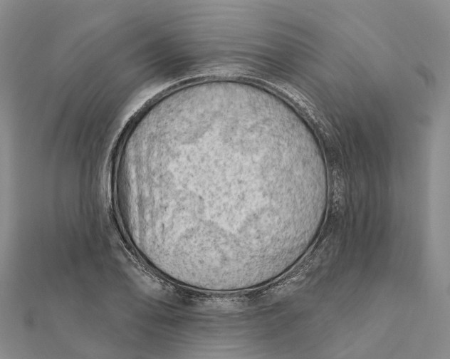 X0000112101078200908251144