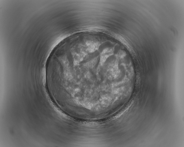 X0000112101079200908251144