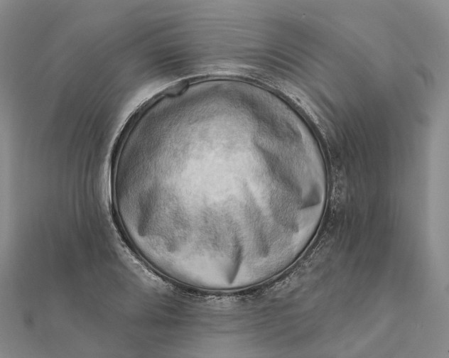 X0000112101080200908251144