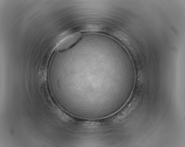 X0000112101081200908251144