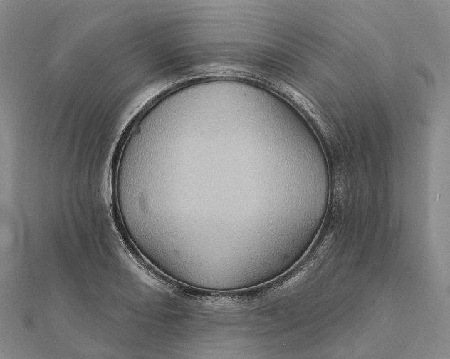 X0000112101082200908251144