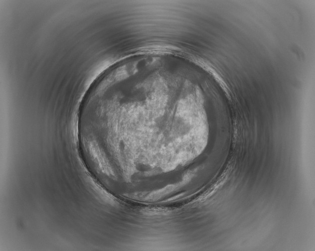 X0000112101083200908251144