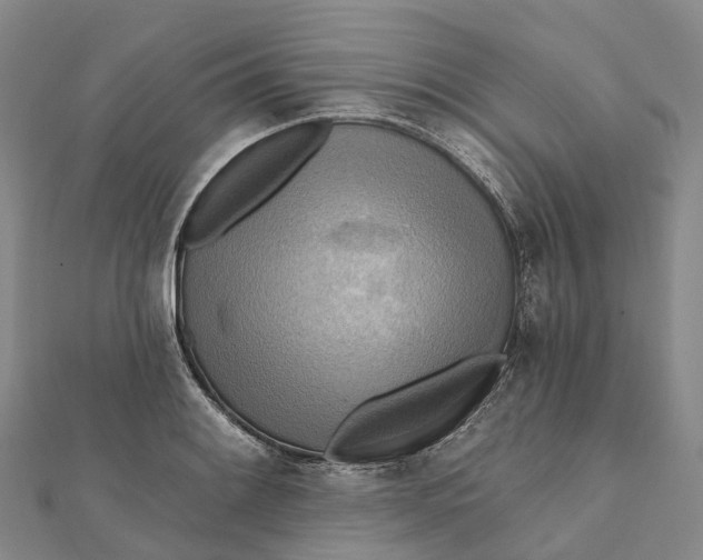 X0000112101084200908251144