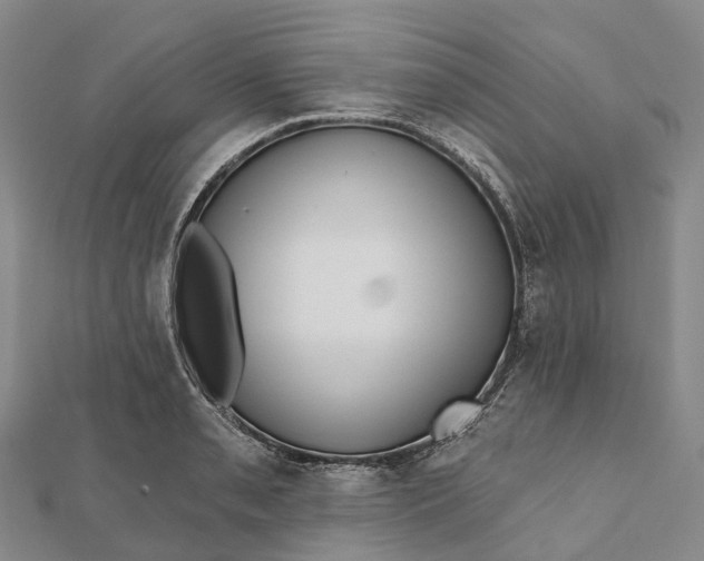 X0000112101085200908251144