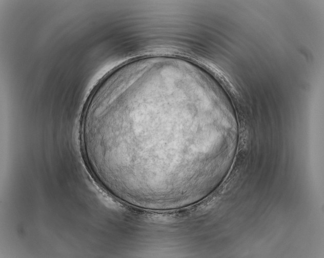 X0000112101086200908251144