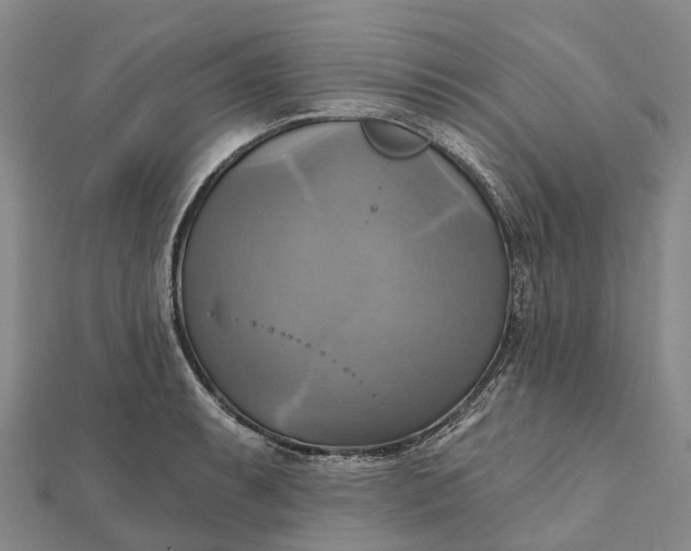 X0000112101087200908251144