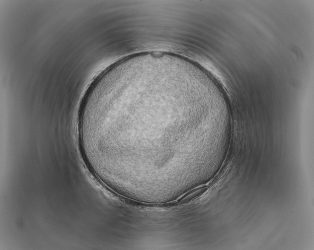 X0000112101088200908251144