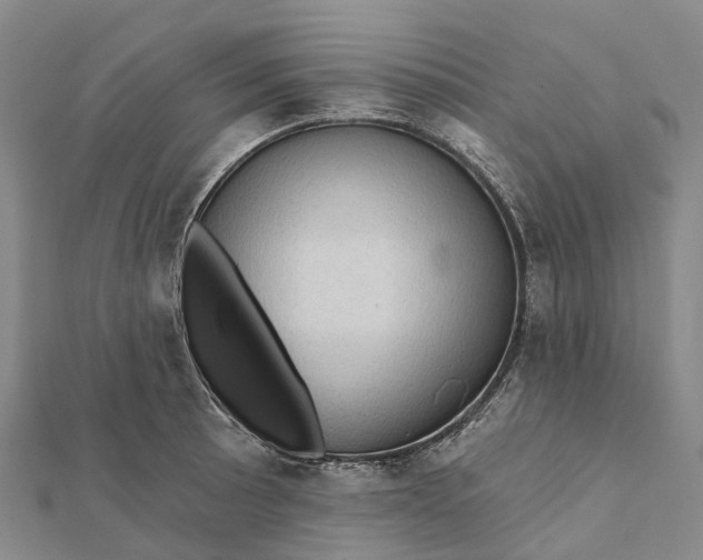 X0000112101089200908251144