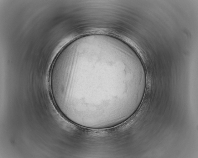 X0000112101090200908251144