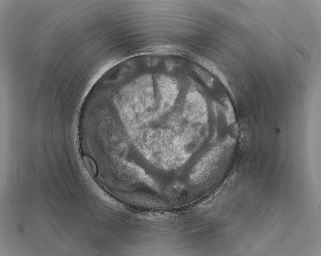 X0000112101091200908251144