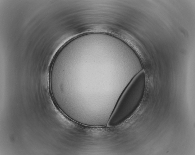 X0000112101092200908251144