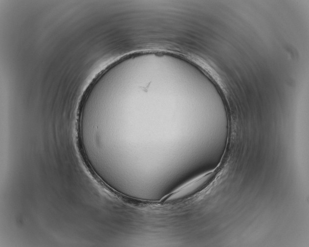 X0000112101093200908251144