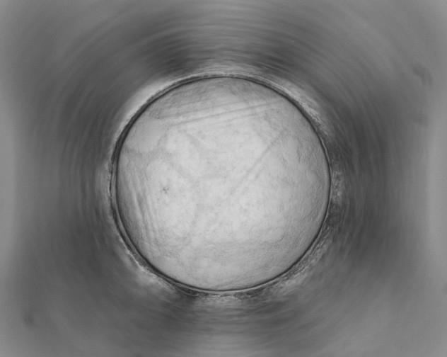 X0000112101094200908251144