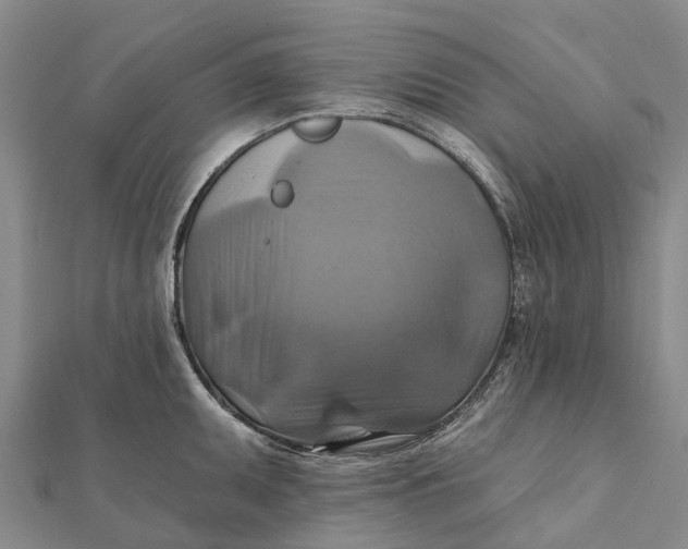 X0000112101095200908251144