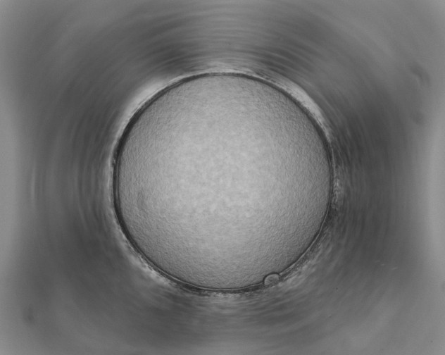 X0000112101096200908251144