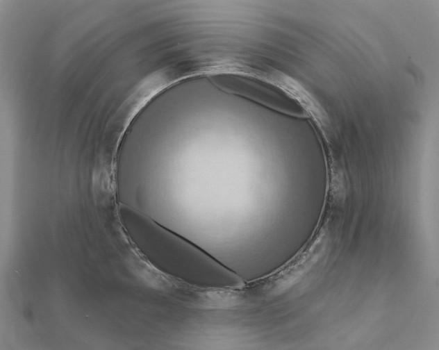 X0000112101097200908251144