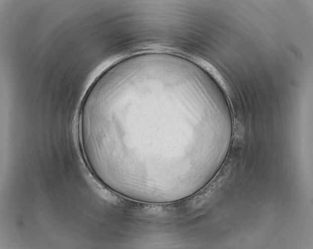 X0000112101098200908251144