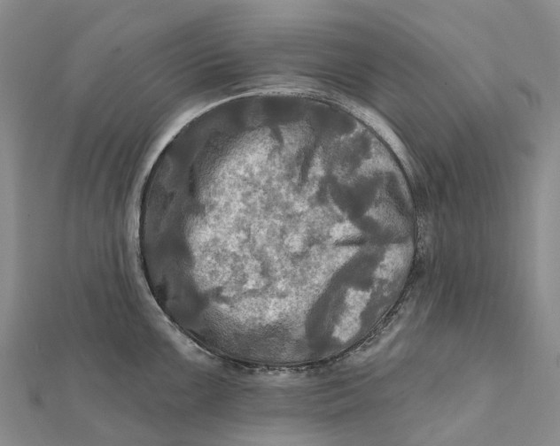 X0000112101099200908251144