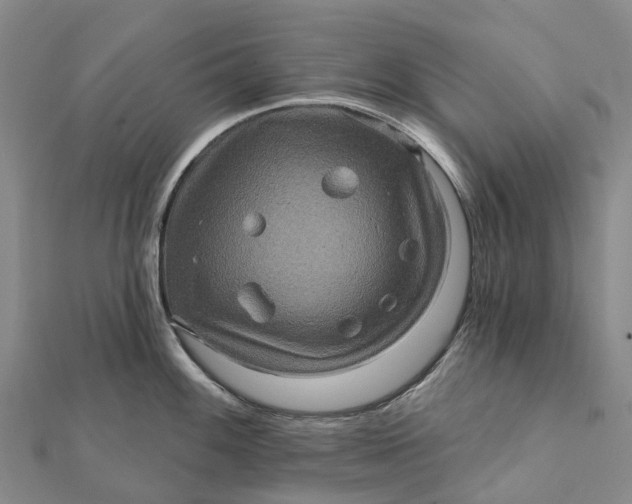 X0000112101100200908251144