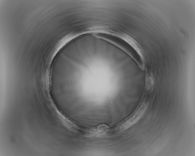 X0000112101101200908251144