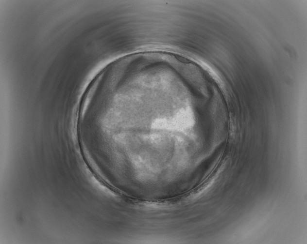 X0000112101102200908251144