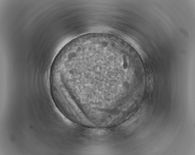 X0000112101103200908251144