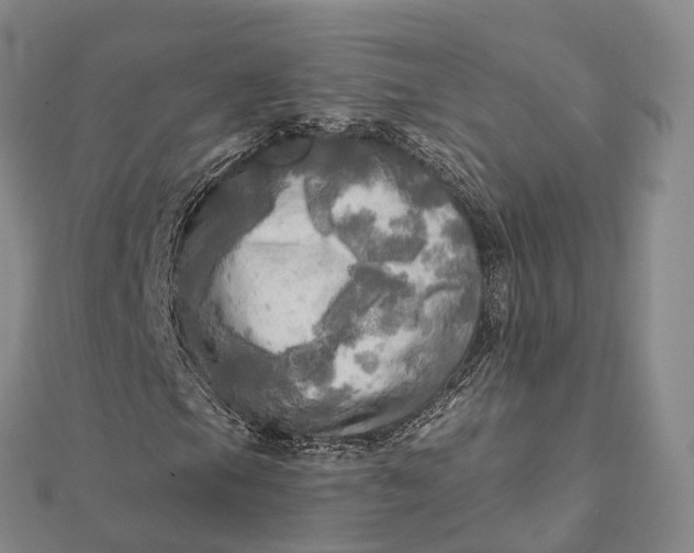 X0000112101105200908251143