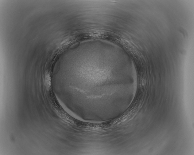 X0000112101106200908251143