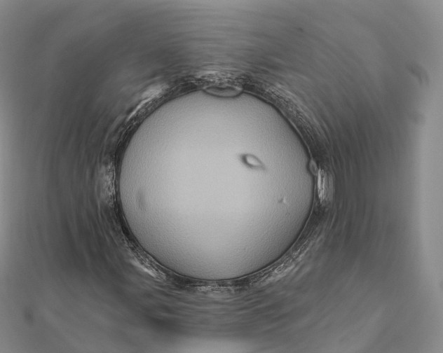 X0000112101107200908251143