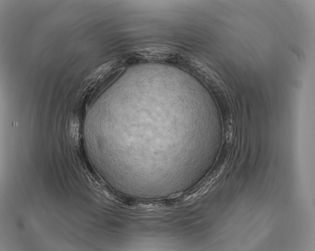 X0000112101108200908251143