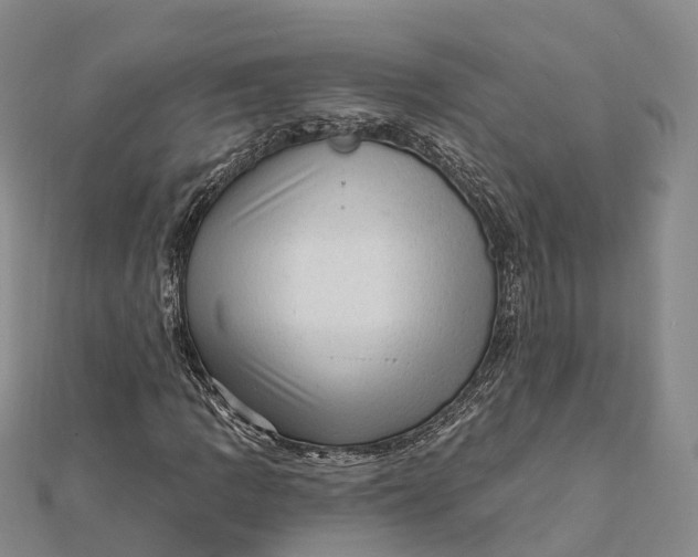 X0000112101109200908251143