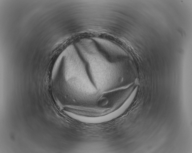 X0000112101110200908251143