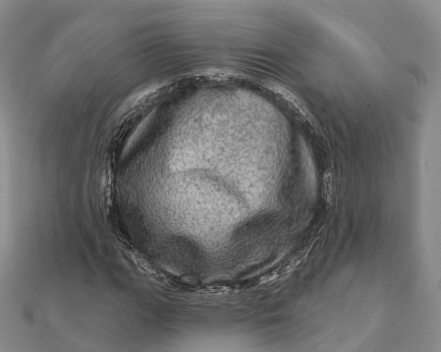 X0000112101111200908251143