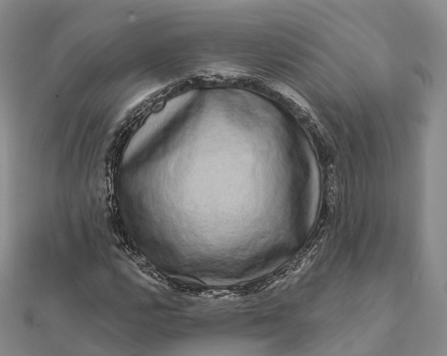 X0000112101112200908251144