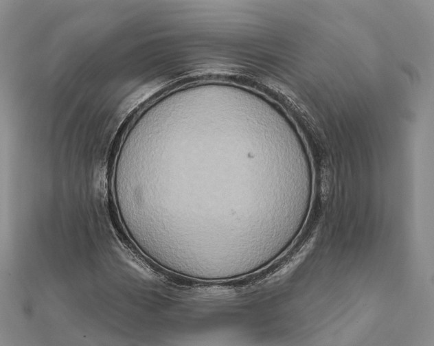 X0000112101113200908251144