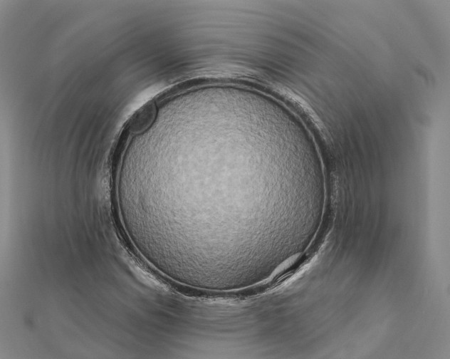 X0000112101114200908251144