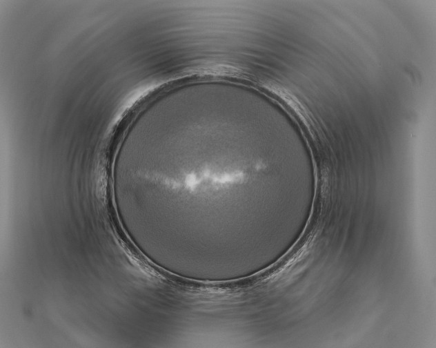 X0000112101115200908251144